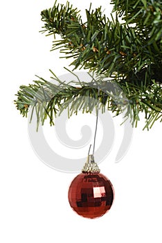 Red ornament on christmas tree