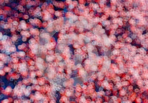 Red out of focus bokeh background