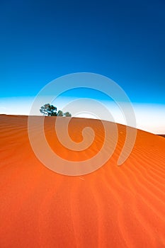 Red sand dune with ripple and blue sky