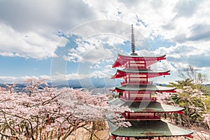 Red Pagoda and cherry blossom sakura in spring season with Mt F