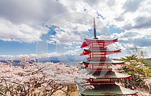 Red Pagoda with Mt Fuji on the background in cherry blossom sakura in spring season