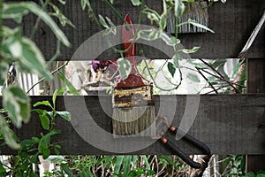 Red paint brush hang decoratively on fence