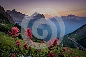 Red Paintbrush Blooms With Clements Mountain In The Distance