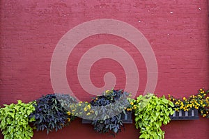 Red Painted Brick with Planted Plants Framing the Bottom of the Empty Design Space