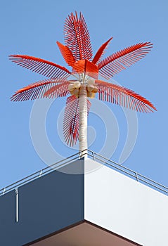 Red palm