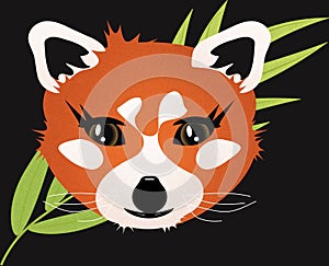 Red Panda Head with Big Brown Eyes Illustration Isolated on Black with Clipping Path