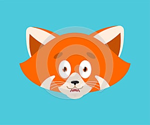 Red panda scared OMG avatar emotion. Wild animal Oh my God emoji. Frightened beast. Vector illustration