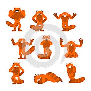 Red panda set poses and motion. Wild animal happy and yoga. Beast sleeping and angry. guilty and sad. Vector illustration