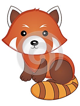 Red Panda Vector Illustration