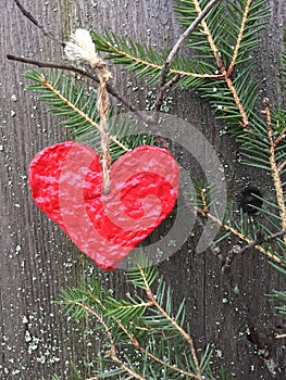 Red paper heart hanging on a spruce branch