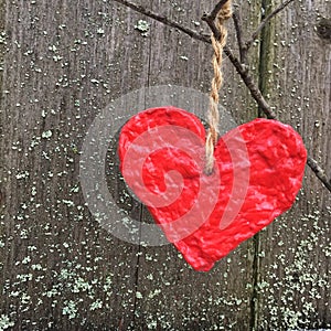 Red paper heart hanging on a tree branch