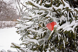 red paper heart resting on snow covered pine tree branch outside