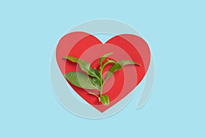 Red paper heart shape and green sprout with leaves as a symbol of ecology on a blue background. Eco friendly concept.