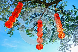 Red paper lanterns of the festival about Chinese people hanging on the tree