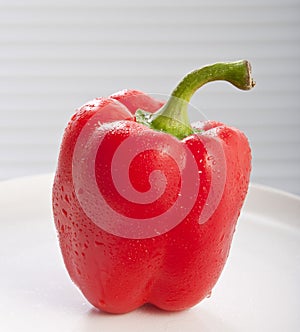 Red paprika photo