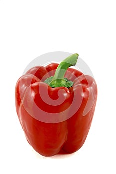 Red paprika photo