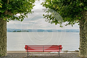 Red park bench on a lake shore with a fantastic view and framed by London plane trees