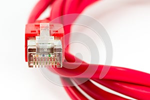 Red patch cable with RJ45 connector isolated on white background