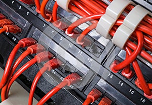 Red patch cord cables connected to black switch