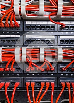 Red patch cord internet cables