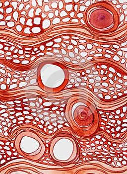 Red patterns and cicles flowing.