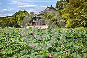 Red Pavilion Lotus Garden Summer Palace Park Beijing China