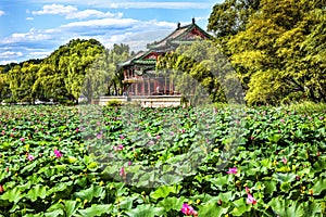 Red Pavilion Pink Lotus Garden Summer Palace Beijing China