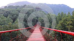 Cloister, Chinese garden, red suspension bridge in Gele Mountain Forest Park, rope bridge photo
