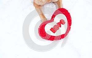 Red paws of German Shepherd in the snow next to red toy heart with inscription - love. Cute Valentines day card with pet dog