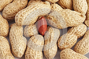 Red peanut kernel closeup in shells