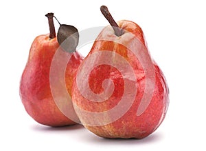 Red pear fruit