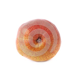 Red pear fruit isolated