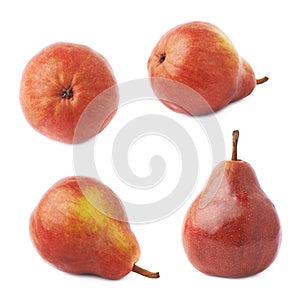 Red pear fruit isolated