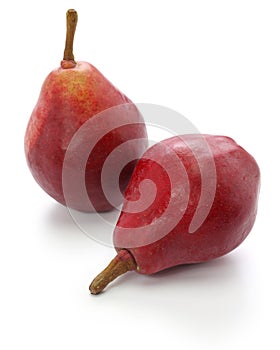 Red pears, star crimson