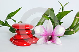 Red pebbles arranged in zen lifestyle with an orchids on the right side of bamboo twisted all on white background