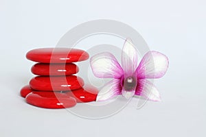 Red pebbles arranged in Zen lifestyle with a two-color orchid on the right side on a white background