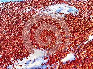 Red pebbles or rubberized textured material and white snow on it. Background, texture, frame, copy space. Contrast of