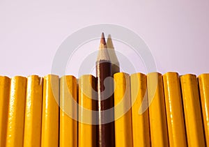 Red pencil standing out from crowd of plenty identical black fellows on white background