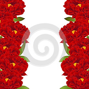 Red Peony Flower Border isolated on White Background. Vector Illustration.