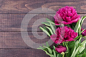 Red peony flower on dark rustic wooden background with empty spa