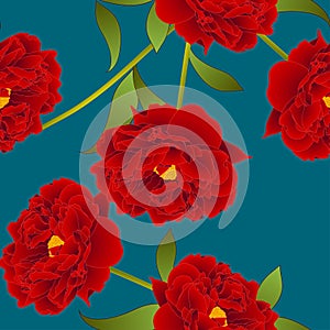 Red Peony Flower on Teal Indigo Background. Vector Illustration