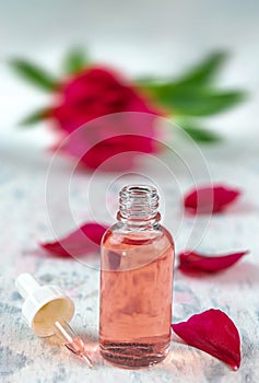 Medicinal peony -Red peony paeoni, latin name Paeoniaceae isolated on a white background photo