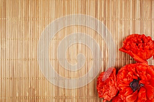 Red peony poppy papaver on a bamboo background . photo