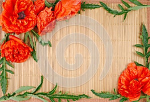 Red peony poppy papaver on a bamboo background . photo