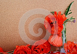 Red peony poppy papavers on a brouwn background . photo