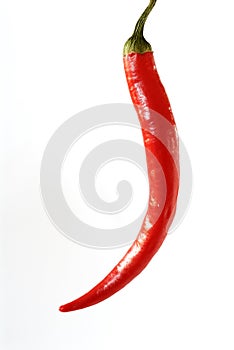 Red Peperoni photo