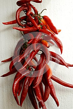 Red peperoni on a string