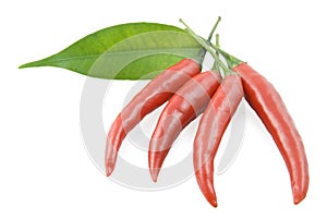 Red pepper chili and leaf