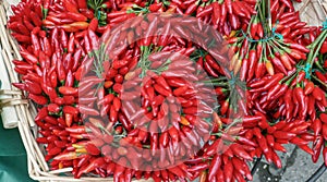 Red Pepper Chilis Background, spicy cooking ingredient for gourmet dishes