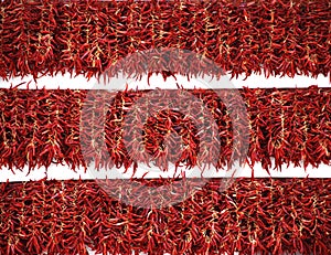 Red pepper exposition